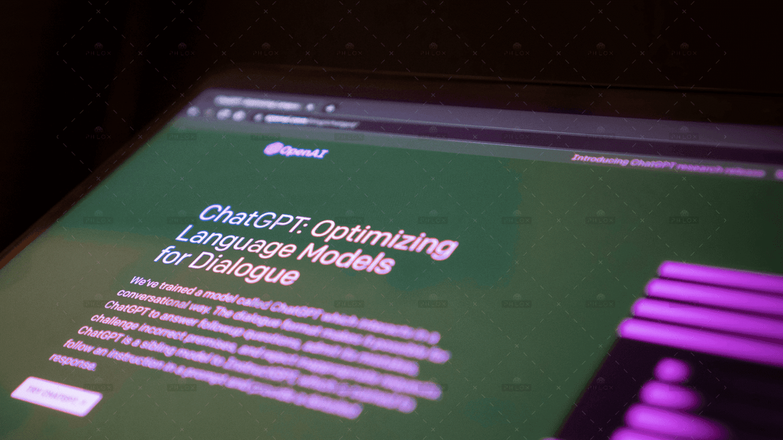 demo-attachment-1097-jonathan-kemper-MMUzS5Qzuus-unsplash-1